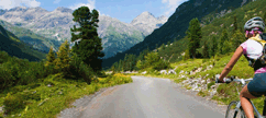 MTB TRAIL RADSTADT