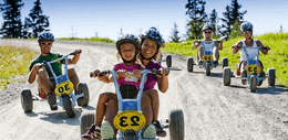 Downhill montain karts